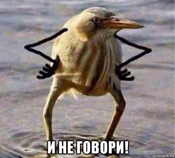  и не говори!, Мем Так Блэт