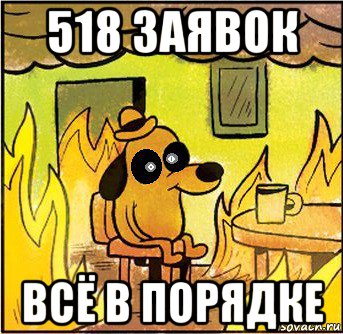 518 заявок всё в порядке