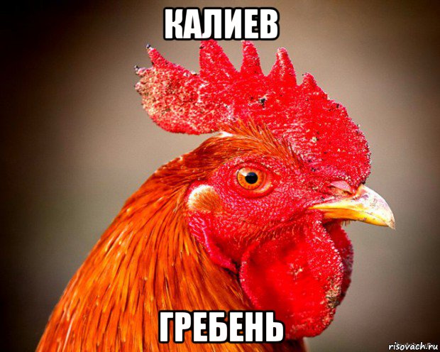 калиев гребень