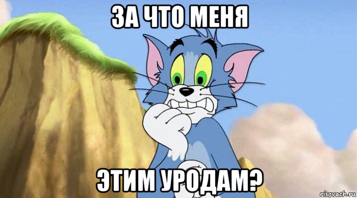 за что меня этим уродам?