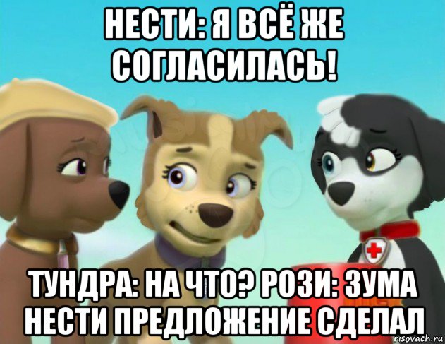 нести: я всё же согласилась! тундра: на что? рози: зума нести предложение сделал