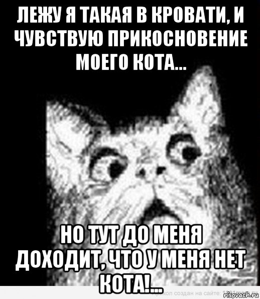 лежу я такая в кровати, и чувствую прикосновение моего кота... но тут до меня доходит, что у меня нет кота!...