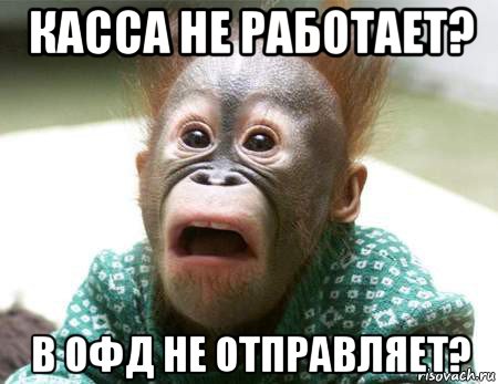 касса не работает? в офд не отправляет?