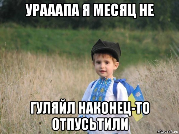 урааапа я месяц не гуляйл наконец-то отпусьтили, Мем Украина - Единая