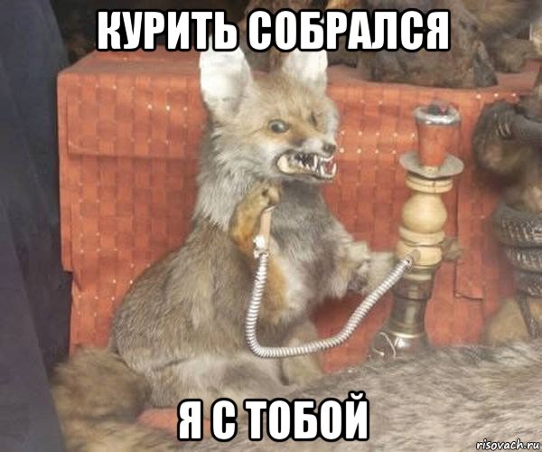 курить собрался я с тобой