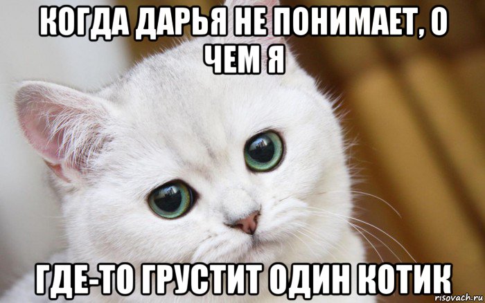 когда дарья не понимает, о чем я где-то грустит один котик, Мем  В мире грустит один котик