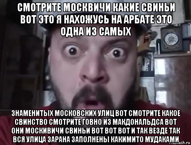смотрите москвичи какие свиньи вот это я нахожусь на арбате это одна из самых знаменитых московских улиц вот смотрите какое свинство смотрите говно из макдональдса вот они москивичи свиньи вот вот вот и так везде так вся улица зарана заполнены какимито мудаками