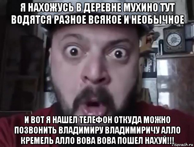 я нахожусь в деревне мухино тут водятся разное всякое и необычное и вот я нашел телефон откуда можно позвонить владимиру владимиричу алло кремель алло вова вова пошел нахуй!!!, Мем Виктор Пузо