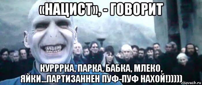 «нацист», - говорит курррка, парка, бабка, млеко, яйки...партизаннен пуф-пуф нахой!))))), Мем  Волдеморт