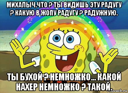 михалыч.что ? ты видишь эту радугу ? какую в жопу радугу ? радужную. ты бухой ? немножко... какой нахер немножко ? такой.