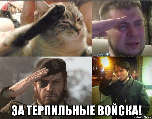  за терпильные войска!