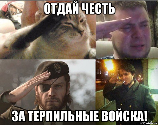 отдай честь за терпильные войска!