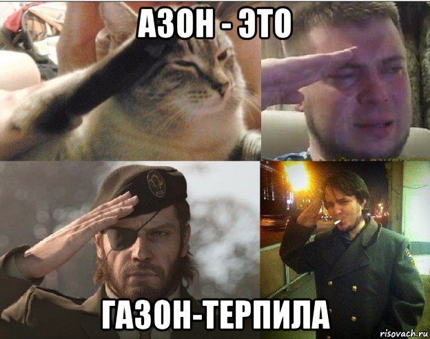 азон - это газон-терпила
