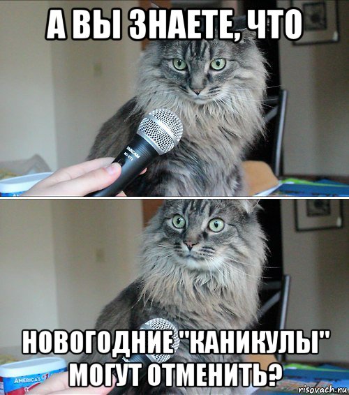 а вы знаете, что новогодние "каникулы" могут отменить?