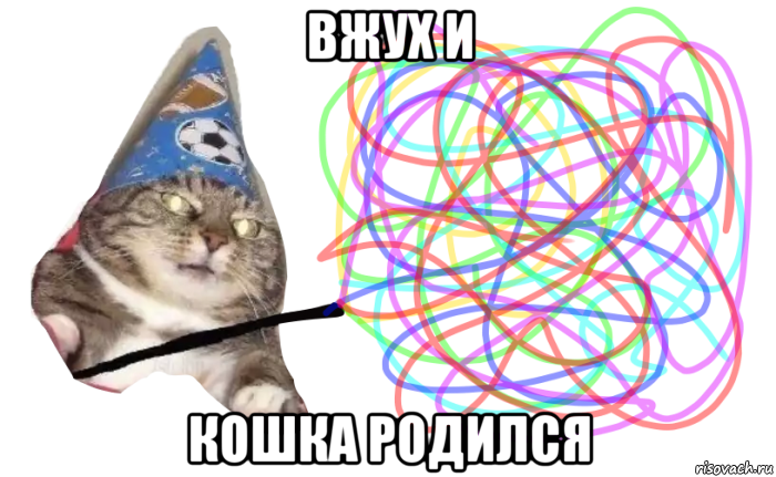 вжух и кошка родился