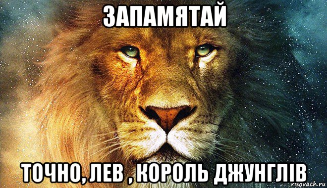 запамятай точно, лев , король джунглів