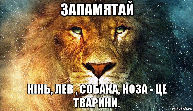 запамятай кінь, лев , собака, коза - це тварини.