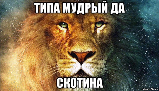 типа мудрый да скотина