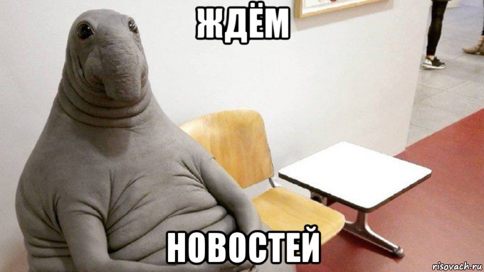 ждём новостей