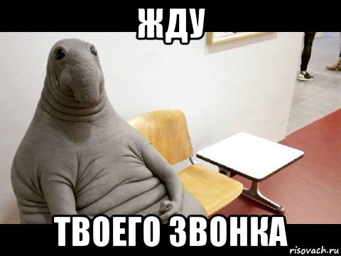жду твоего звонка