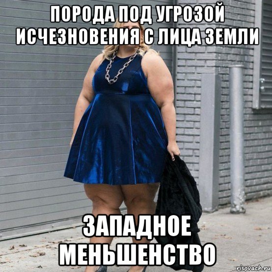 порода под угрозой исчезновения с лица земли западное меньшенство, Мем Жиробас