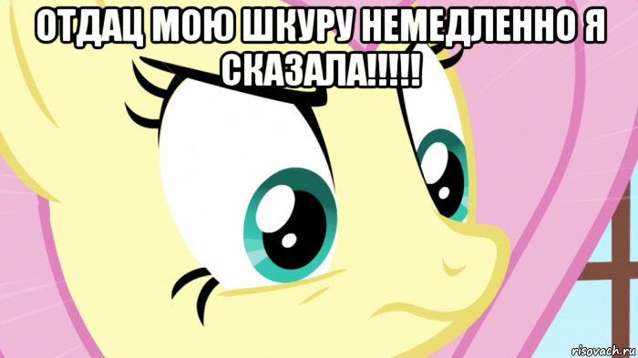 отдац мою шкуру немедленно я сказала!!!!! , Мем Злая флатершай