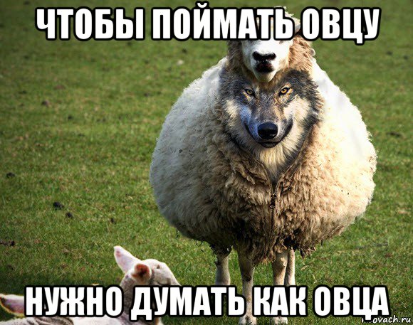 чтобы поймать овцу нужно думать как овца, Мем Злая Овца