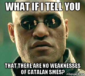 what if i tell you that there are no weaknesses of catalan smes?, Мем  а что если я скажу тебе