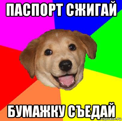 паспорт сжигай бумажку съедай, Мем Advice Dog