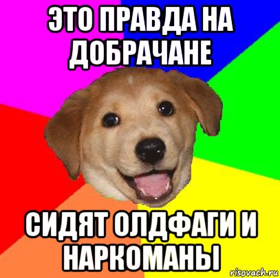 это правда на добрачане сидят олдфаги и наркоманы, Мем Advice Dog