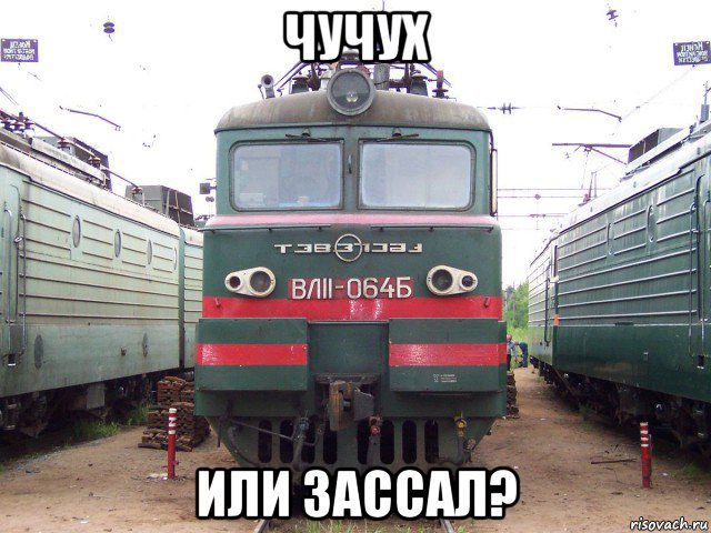 чучух или зассал?