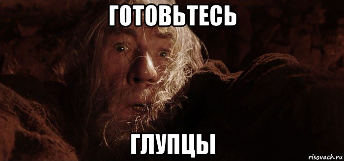готовьтесь глупцы, Мем Бегите глупцы