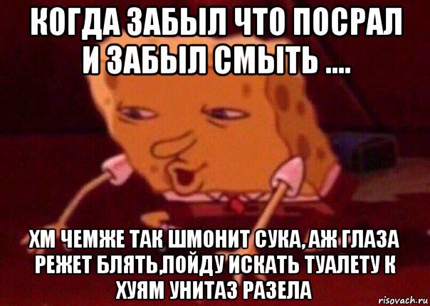 когда забыл что посрал и забыл смыть .... хм чемже так шмонит сука, аж глаза режет блять,пойду искать туалету к хуям унитаз разела, Мем    Bettingmemes