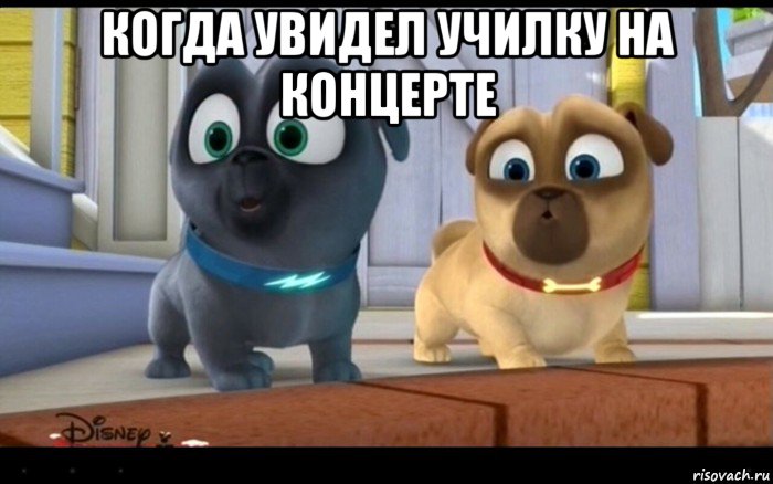 когда увидел училку на концерте 