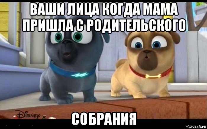 ваши лица когда мама пришла с родительского собрания