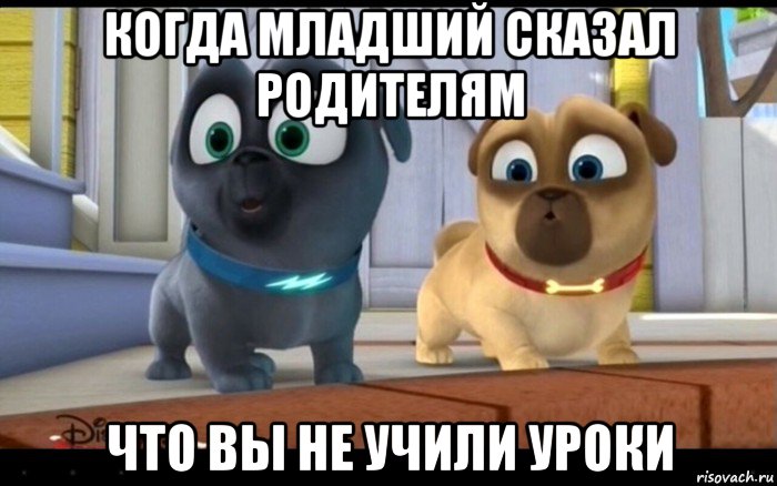 когда младший сказал родителям что вы не учили уроки
