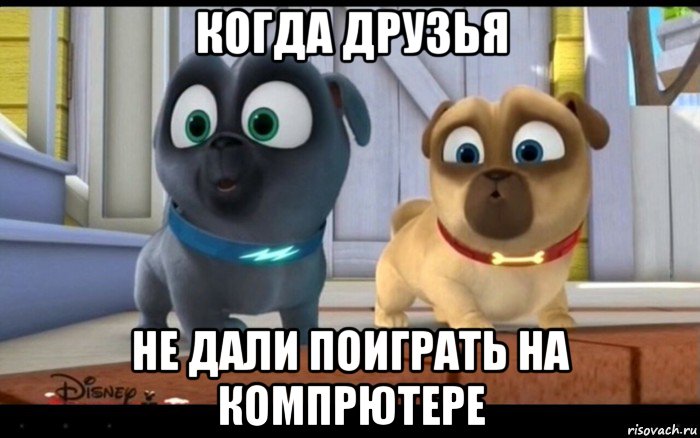 когда друзья не дали поиграть на компрютере