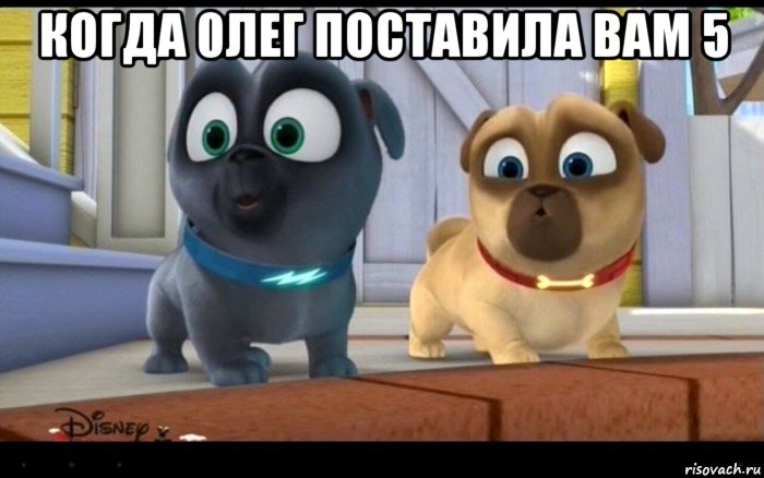 когда 0лег поставила вам 5 