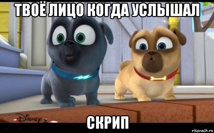 твоё лицо когда услышал скрип