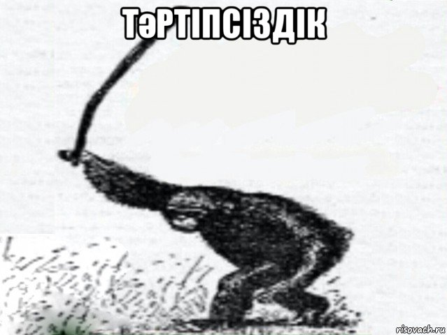 тәртіпсіздік 