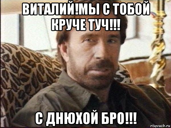 виталий!мы с тобой круче туч!!! с днюхой бро!!!, Мем чак норрис