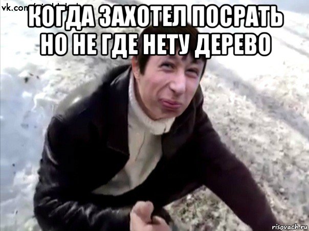 когда захотел посрать но не где нету дерево 