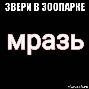 звери в зоопарке 