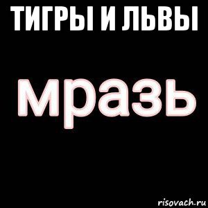 тигры и львы 