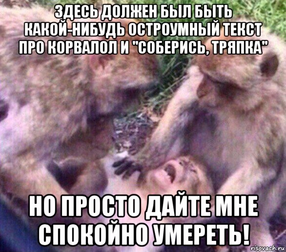 здесь должен был быть какой-нибудь остроумный текст про корвалол и "соберись, тряпка" но просто дайте мне спокойно умереть!