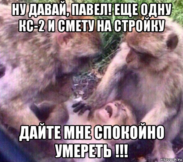 ну давай, павел! еще одну кс-2 и смету на стройку дайте мне спокойно умереть !!!