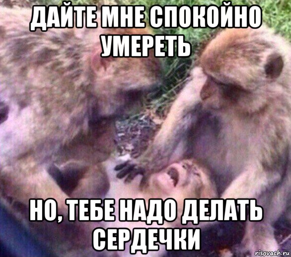 дайте мне спокойно умереть но, тебе надо делать сердечки