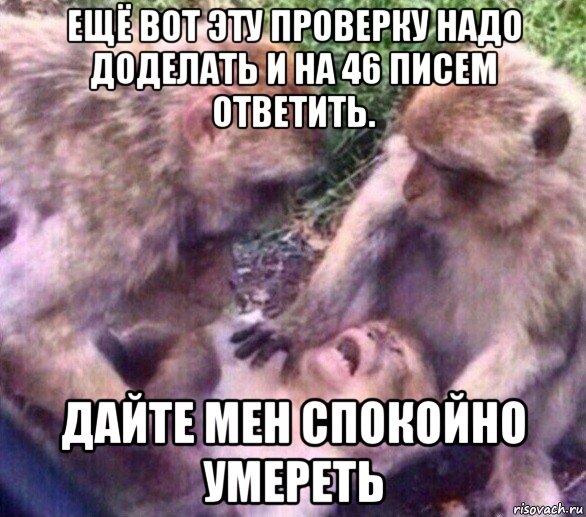 ещё вот эту проверку надо доделать и на 46 писем ответить. дайте мен спокойно умереть