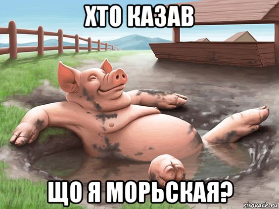 хто казав що я морьская?