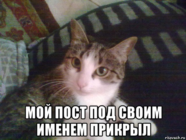  мой пост под своим именем прикрыл, Мем Ей похуй рэпер ты или кто если о